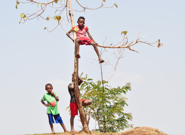 etiopia_2017_03 (5)