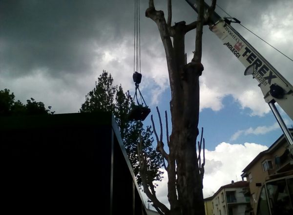 asilo_san-severino-marche-terremoto_20170501 (7)