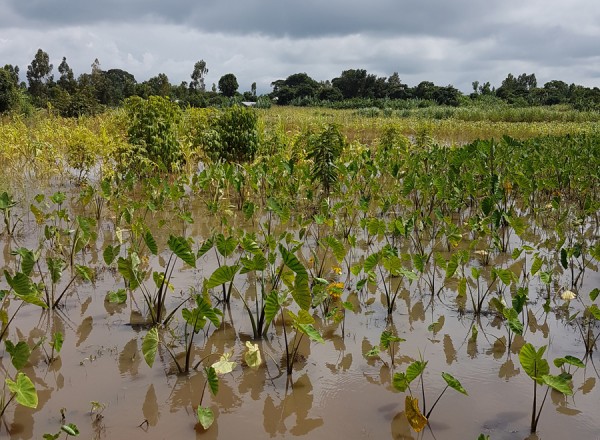 alluvione Et (7)