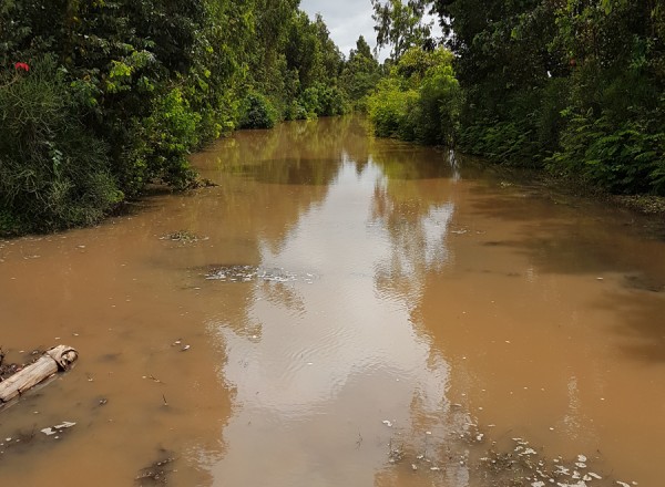 alluvione Et (9)