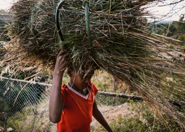 Le vittime della nostra ricchezza